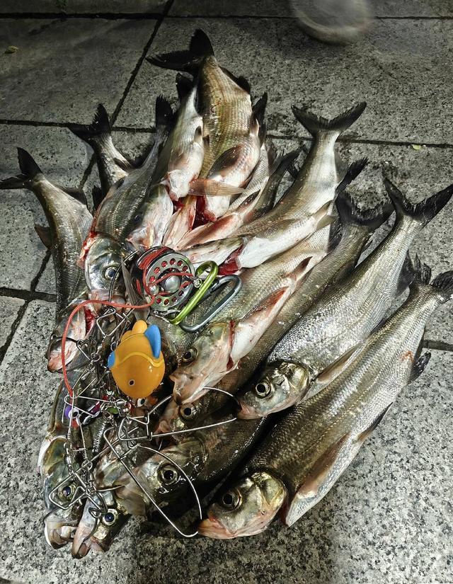 博鱼电竞平台-生态治理还是高价钓鱼？西昌邛海4000元钓鱼年卡引质疑 律师：如此收费无法律依据